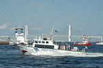 Dcim3629/DSC_3009