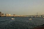 Dcim3651/DSC_5138