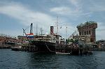 Dcim3658/DSC_5353