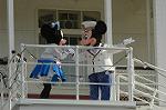 Dcim3662/DSC_5875