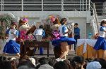Dcim3663/DSC_5897