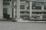 Dcim3670/DSC_6161