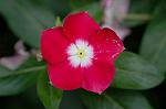 Dcim3699/DSC_8044
