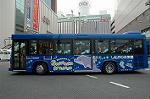 Dcim3704/DSC_8539
