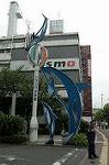 Dcim3717/DSC_9895