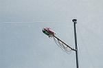 Dcim3723/DSC_0511