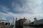 Dcim3724/DSC_4841