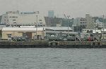 Dcim3749/DSC_2512