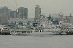 Dcim3749/DSC_2524