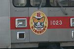 Dcim3754/DSC_2953