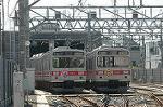 Dcim3755/DSC_3036