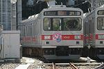 Dcim3755/DSC_3045