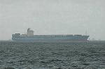 Dcim3756/DSC_3131