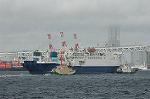 Dcim3756/DSC_3210