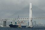 Dcim3756/DSC_3221