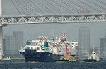 Dcim3756/DSC_3231