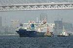Dcim3756/DSC_3237