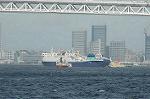 Dcim3757/DSC_3253