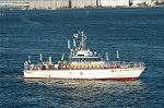 Dcim3761/DSC_3733
