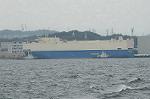 Dcim3764/DSC_3911