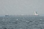 Dcim3765/DSC_4015
