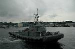 Dcim3768/DSC_4294