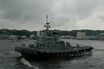 Dcim3768/DSC_4297