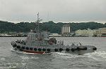 Dcim3768/DSC_4302