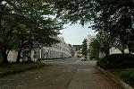 Dcim3775/DSC_4803