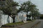 Dcim3777/DSC_4962