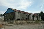 Dcim3777/DSC_5014