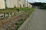 Dcim3778/DSC_5072