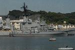 Dcim3779/DSC_6538