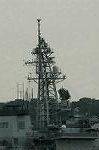 Dcim3780/DSC_5155
