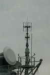 Dcim3783/DSC_5539