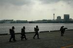 Dcim3819/DSC_7864