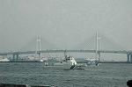 Dcim3821/DSC_8125