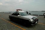 Dcim3823/DSC_8293