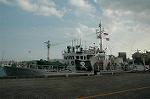 Dcim3823/DSC_8372