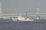 Dcim3826/DSC_6217