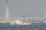 Dcim3826/DSC_6218