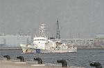 Dcim3826/DSC_6223