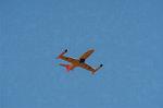 Dcim3845/DSC_6738