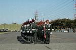 Dcim3868/DSC_2272