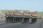 Dcim3871/DSC_7175