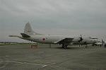 Dcim3873/DSC_2369