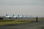 Dcim3873/DSC_2377