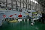Dcim3874/DSC_2493