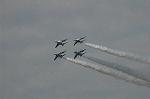 Dcim3875/DSC_2666