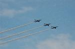 Dcim3876/DSC_2768
